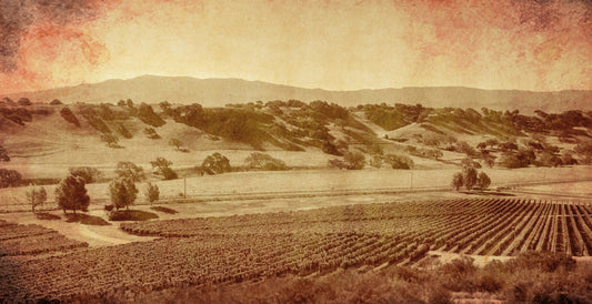santa barbara wine country the early years