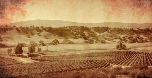 The History of Santa Barbara Wine Country, Part 3: Big Money & Big Business