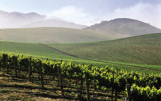 Santa Barbara County Wine, Part 6: Foxen Canyon, Los Alamos, Santa Maria Wine Trail