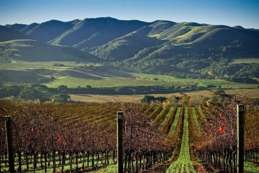 Santa Barbara County Wine, Part 7:  Los Olivos Promenade