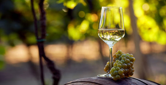 sta. rita hills organic wines