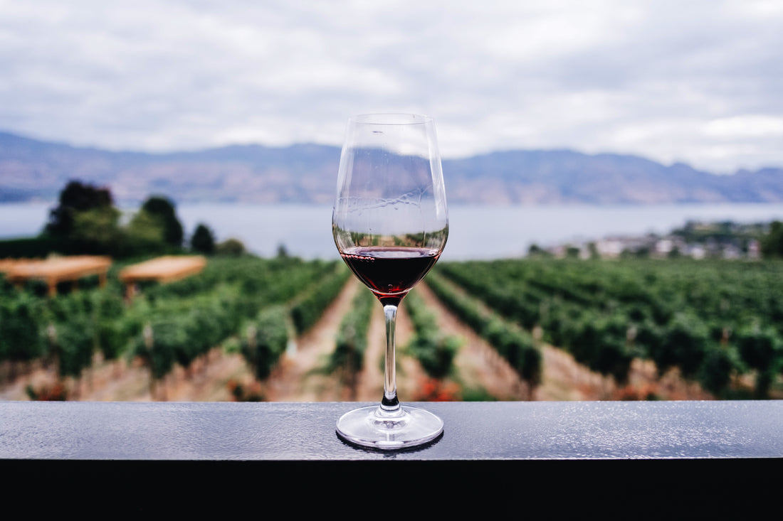 santa barbara county cabernet sauvignon