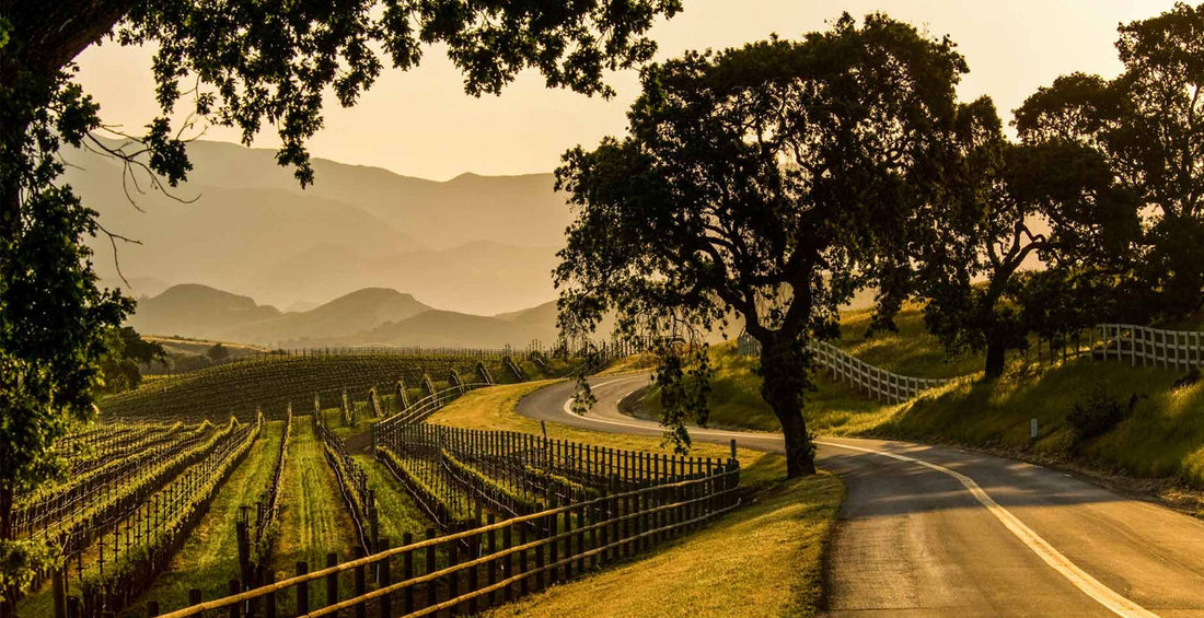 Santa Ynez Wine Trail Wine Horses