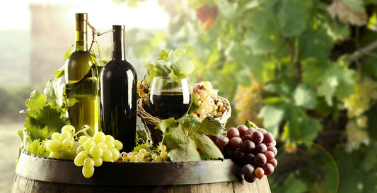 santa barbara wine country organic wine offer