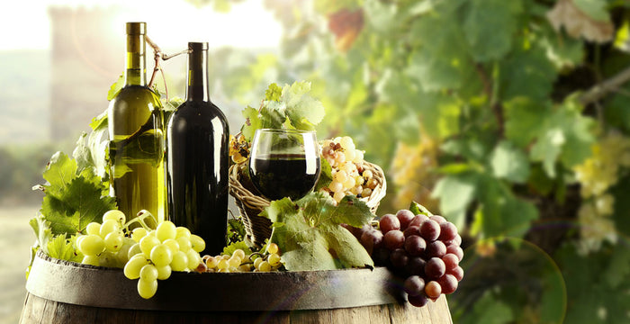 Martellotto Winery in Santa Barbara Wine Country Announces Organic Wine Offer