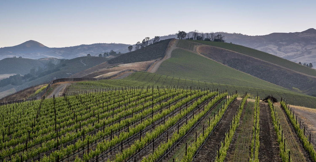 star trek picard santa barbara wine country