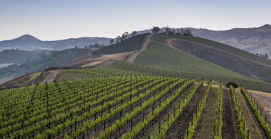 star trek picard santa barbara wine country