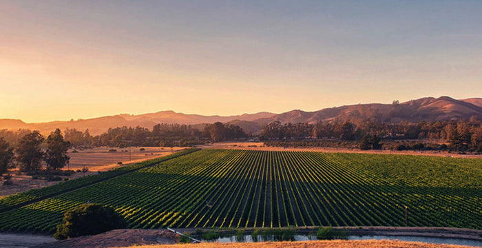Santa Barbara County Wine, Part 9: Santa Rita Hills Wine Trail: Deep Wine Country