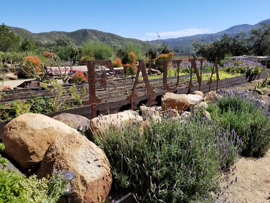 valle de guadalupe fauna restaurant